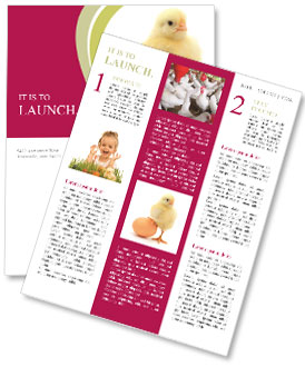 New Born Chicken Newsletter Template