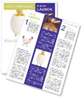 Yellow Chick Newsletter Template