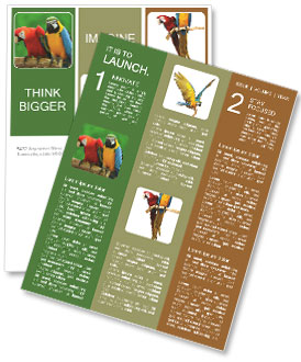 Couple Of Parrots Newsletter Template