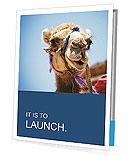 Camel Presentation Folder
