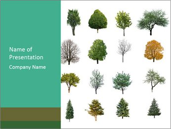 Isolated Trees On White Background PowerPoint Template