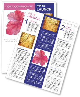 Isolated Magenta Leaf On White Background For Stunning Visuals Newsletter Template