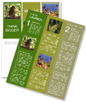 Birdwatching In The Seychelles: Discovering The Seychelles Bulbul Newsletter Template