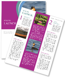 Podiceps Cristatus: A Common Water Bird Found On Lakes Newsletter Template