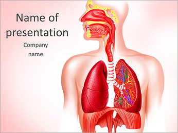Human Lungs PowerPoint Template