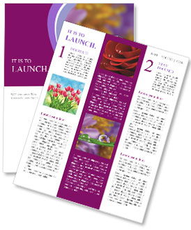 Mirrored Flowers Reflected In Dewdrops On A Blade Of Grass Newsletter Template