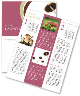 Exploring The Characteristics And Effects Of Psilocybe Semilanceata Mushroom Newsletter Template