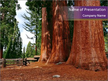 Exploring The Wonders Of Sequoia National Park: A Comprehensive Guide PowerPoint Template