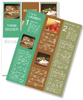 Discover The Rich And Creamy Flavors Of ?Poisses Cheese Newsletter Template