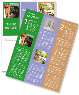 Canine Chauffeur Sporting Shades Behind The Wheel Of A Vehicle Newsletter Template