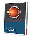 Cross-Sectional Anatomy Of The Human Eye: A Complete Guide Presentation Folder