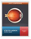 Cross-Sectional Anatomy Of The Human Eye: A Complete Guide Word Template