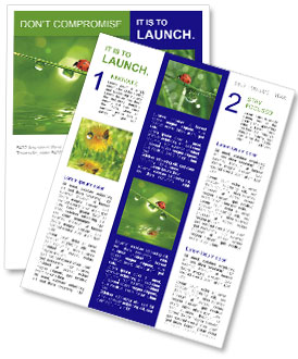 Morning Dew And Ladybird: A Refreshing Start To Your Day Newsletter Template