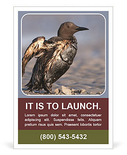 Grey Bird Ad Template