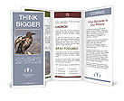 Grey Bird Brochure Template