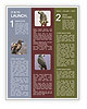 Grey Bird Newsletter Template