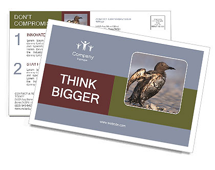 Grey Bird Postcard Template