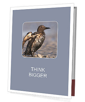 Grey Bird Presentation Folder