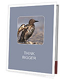 Grey Bird Presentation Folder