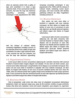 Deal With Risks Word Template - Page 4