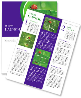 Spring Ladybug Newsletter Template