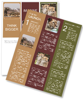 Wild Animals Newsletter Template