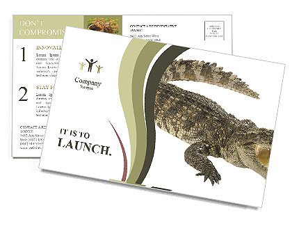 Crocodile Postcard Template