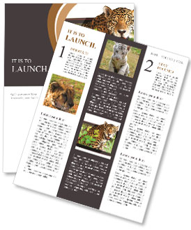 TV Newsletter Template