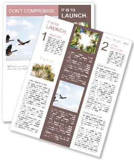 Birds Migration Newsletter Template