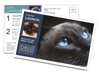 Black Cat Postcard Template