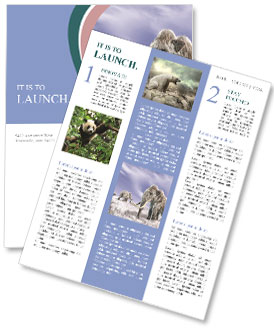 Mammoth Newsletter Template