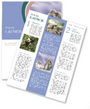 Mammoth Newsletter Template