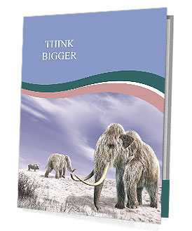 Mammoth Presentation Folder