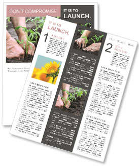 Planting a tomatoes seedling Newsletter Template