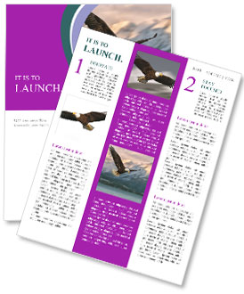 Illustration Of A Young American Bald Eagle Flying Over Homer Harbor In Alaska Newsletter Template