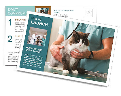 Cat and vet Postcard Template