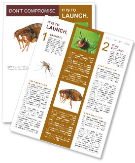 Large flea Newsletter Template