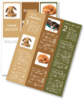 Dog toy Newsletter Template