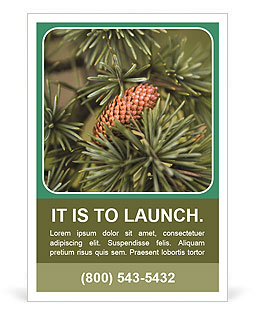 The Benefits And Uses Of Cedar Trees: A Comprehensive Guide Ad Template