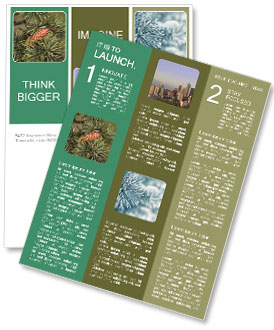 The Benefits And Uses Of Cedar Trees: A Comprehensive Guide Newsletter Template