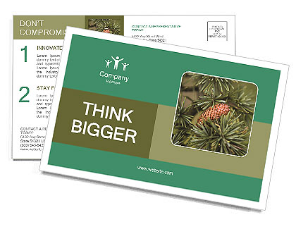The Benefits And Uses Of Cedar Trees: A Comprehensive Guide Postcard Template