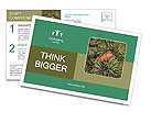 The Benefits And Uses Of Cedar Trees: A Comprehensive Guide Postcard Template