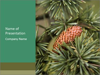 The Benefits And Uses Of Cedar Trees: A Comprehensive Guide PowerPoint Template