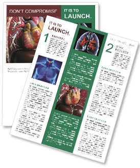 The Anatomy Of Human Organs: A Comprehensive Overview Newsletter Template