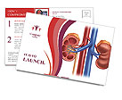 Anatomy Of The Urinary System: Medical Illustration Of Human Kidney Cross Section With Arteries, Adrenal G Postcard Template