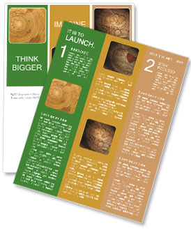 700-Year-Old Cypress Tree With Detailed Wood Grain Texture And Tight Rings Newsletter Template