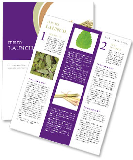 Fresh And Organic Lemongrass Bundle On White Background For Natural Food Products And Recipes Newsletter Template