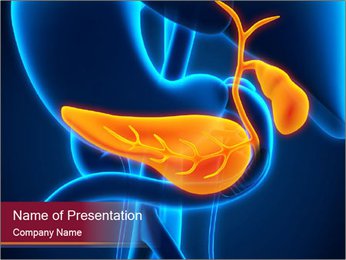 Anatomy Of The Gallbladder And Pancreas In Humans: Functions And Structure Explained PowerPoint Template