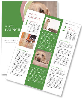 The dog Newsletter Template