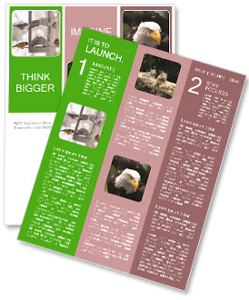 Variety Of Bird Species Visiting Bird Feeder During Winter Season Newsletter Template